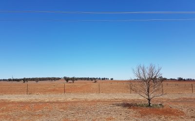 Drought – What it means for the Australian Economy